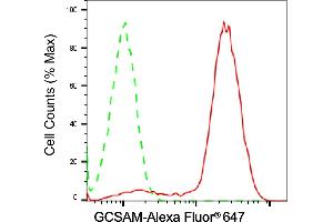 anti-Germinal Center Expressed Transcript 2 (GCET2) antibody