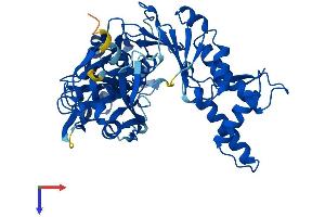 AlphaFold protein structure predicition of Mouse Recombinant Shpk Protein, UniprotID Q9D5J6