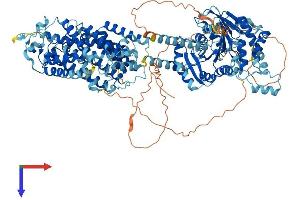 AlphaFold protein structure predicition of Human Recombinant SLC12A1 Protein, UniprotID Q13621