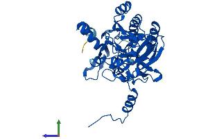 AlphaFold protein structure predicition of Human Recombinant UPB1 Protein, UniprotID Q9UBR1
