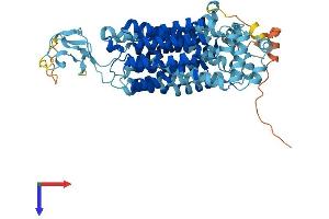 AlphaFold protein structure predicition of Human Recombinant SLC22A6 Protein, UniprotID Q4U2R8