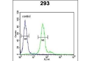 DDX23 Antibody (Center) (ABIN651059 and ABIN2840053) flow cytometric analysis of 293 cells (right histogram) compared to a negative control cell (left histogram). (DDX23 anticorps  (AA 248-277))