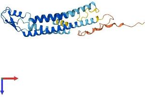 AlphaFold protein structure predicition of Human Recombinant GJB5 Protein, UniprotID O95377