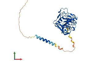 AlphaFold protein structure predicition of Mouse Recombinant B4galt7 Protein, UniprotID Q8R087