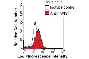HeLa cells were fixed in 2% paraformaldehyde/PBS and then permeabilized in 90% methanol. (TWIST1 anticorps)