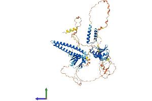 AlphaFold protein structure predicition of Mouse Recombinant Afap1 Protein, UniprotID Q80YS6