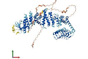 AlphaFold protein structure predicition of Human Recombinant CMIP Protein, UniprotID Q8IY22