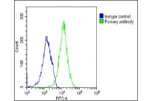 Overlay histogram showing U-2 OS cells stained with (ABIN6242977 and ABIN6577267)(green line).