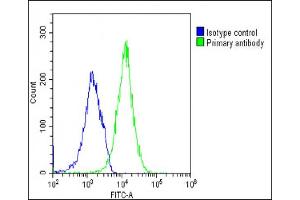 Overlay histogram showing U-2 OS cells stained with (ABIN6242977 and ABIN6577267)(green line). (TIM3 anticorps)