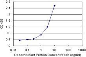 AHNAK (Human) Matched Antibody Pair