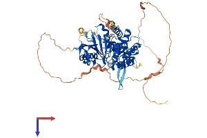 AlphaFold protein structure predicition of Mouse Recombinant Dnaaf3 Protein, UniprotID Q3UYV8