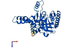 AlphaFold protein structure predicition of Mouse Recombinant Awat1 Protein, UniprotID A2ADU9