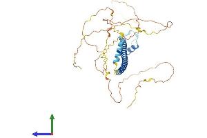 AlphaFold protein structure predicition of Human Recombinant CREB3L4 Protein, UniprotID Q8TEY5