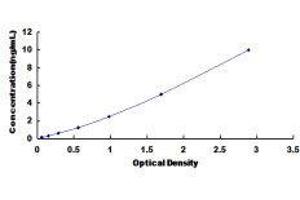 Mitogen-Activated Protein Kinase 13 (MAPK13) ELISA Kit
