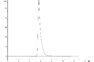 The purity of Human Nectin-2 is greater than 95 % as determined by SEC-HPLC. (PVRL2 Protein (AA 32-360) (Fc Tag))
