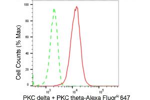 Flow cytometric analysis of PKC delta + PKC theta expression in HT- cells using PKC delta + PKC theta antibody (ABIN7799841), 1:2,000). (Recombinant PKC delta + PKC theta anticorps)