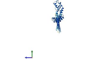 AlphaFold protein structure predicition of Mouse Recombinant Stub1 Protein, UniprotID Q9WUD1