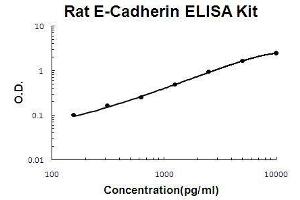Rat E-Cadherin PicoKine ELISA Kit standard curve