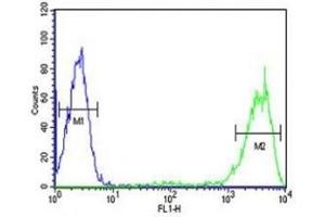 Rab5 antibody flow cytometric analysis of HL-60 cells (right histogram) compared to a negative control (left histogram).