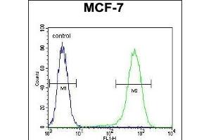 NUDT8 Antibody (N-term) (ABIN654517 and ABIN2844241) flow cytometric analysis of MCF-7 cells (right histogram) compared to a negative control cell (left histogram). (NUDT8 anticorps  (N-Term))
