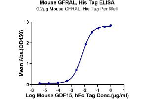Immobilized Mouse GFRAL, His Tag at 2 μg/mL (100 μL/well) on the plate.