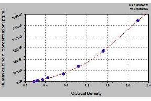 Typical standard curve (CALB1 Kit ELISA)