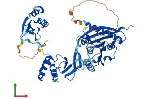 AlphaFold protein structure predicition of Human Recombinant TRMT12 Protein, UniprotID Q53H54