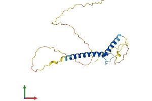 AlphaFold protein structure predicition of Mouse Recombinant Msc Protein, UniprotID O88940