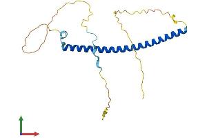 AlphaFold protein structure predicition of Mouse Recombinant Gmnn Protein, UniprotID O88513