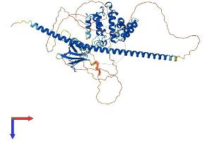 AlphaFold protein structure predicition of Human Recombinant ARHGAP25 Protein, UniprotID P42331