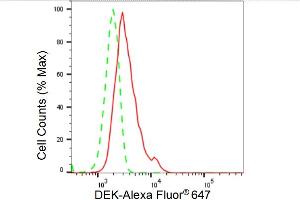 Flow cytometric analysis of DEK expression in HeLa cells using DEK antibody (ABIN7798303), 1:2,000). (Recombinant DEK anticorps)