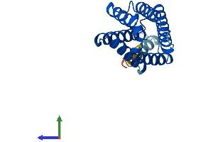 AlphaFold protein structure predicition of Mouse Recombinant Tnfaip8l2 Protein, UniprotID Q9D8Y7