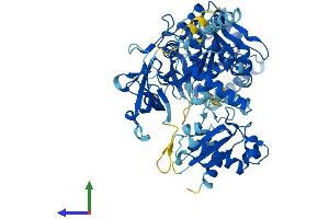 AlphaFold protein structure predicition of Human Recombinant ACSL5 Protein, UniprotID Q9ULC5
