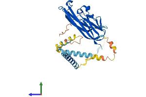 AlphaFold protein structure predicition of Human Recombinant TNFSF11 Protein, UniprotID O14788