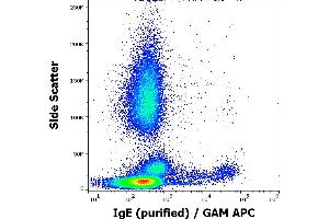 Flow cytometry surface staining pattern of human peripheral whole blood stained using anti-human IgE (4G7. (Souris anti-Humain IgE Anticorps)