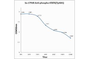 Antigen: 2 µg/100 µL Primary: Antiserum, 1:500, 1:1000, 1:2000, 1:4000, 1:8000, 1:16000, 1:32000; Secondary: HRP conjugated Rabbit Anti-Goat IgG at 1: 5000; TMB staining Read the data in Microplate Reader by 450nm.