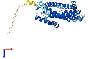 Unc-50 Homolog (UNC50) (AA 1-259) protein (His tag)