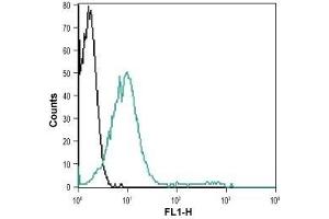 Cell surface detection of P2RX7 in intact living Jurkat cells: (black line) Unstained cells.