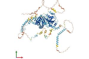 AlphaFold protein structure predicition of Mouse Recombinant Ddx54 Protein, UniprotID Q8K4L0