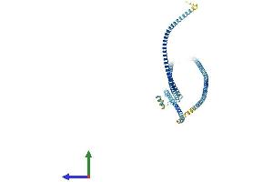 AlphaFold protein structure predicition of Mouse Recombinant Mns1 Protein, UniprotID Q61884