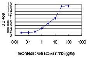 Detection limit for recombinant GST tagged STAU2 is approximately 0. (Double-stranded RNA-binding protein Staufen homolog 2 (STAU2) (AA 2-90) anticorps)