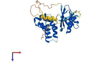 AlphaFold protein structure predicition of Human Recombinant ARMC1 Protein, UniprotID Q9NVT9