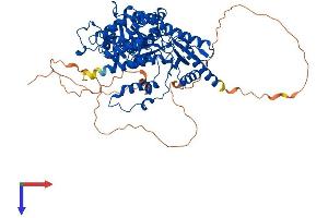 AlphaFold protein structure predicition of Mouse Recombinant Hdc Protein, UniprotID P23738