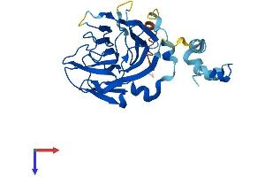 AlphaFold protein structure predicition of Mouse Recombinant Spsb2 Protein, UniprotID O88838