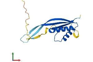 AlphaFold protein structure predicition of Mouse Recombinant Pop7 Protein, UniprotID Q9DCH2
