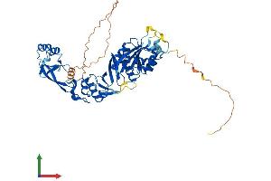 AlphaFold protein structure predicition of Mouse Recombinant Trmt5 Protein, UniprotID Q9D0C4