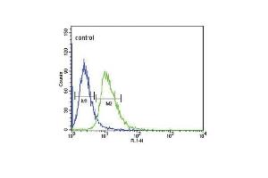 DRD4 Antibody (Center) (ABIN652706 and ABIN2842469) flow cytometric analysis of CEM cells (right histogram) compared to a negative control cell (left histogram).