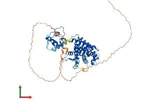 AlphaFold protein structure predicition of Mouse Recombinant Pparg Protein, UniprotID P37238