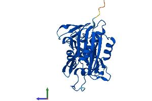AlphaFold protein structure predicition of Human Recombinant CYB5R2 Protein, UniprotID Q6BCY4