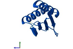 AlphaFold protein structure predicition of Mouse Recombinant Dynll1 Protein, UniprotID P63168